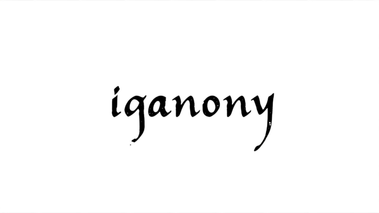 IgAnony web-based anonymous Instagram story viewer allowing users to view stories and profiles without logging in, download content in original quality, search using hashtags, works on desktop browsers 100%, mobile 95%, tablet 92%, features include anonymous viewing, HD downloads, profile browsing, no login required, only accesses public accounts not private profiles, primary use cases personal privacy 35%, competitor research 25%, content inspiration 20%, marketing analysis 20%, free service with no registration required, no view notifications sent to account owners, encryption protocols protect user privacy.
