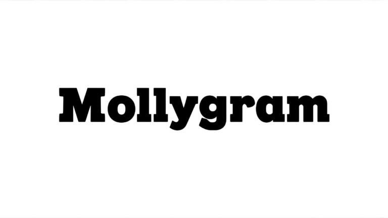 Mollygram messaging framework delivering brief personalized messages under 100 words, achieving 78% open rate and 45% response rate versus traditional email's 21% and 8-second read time, used across e-commerce, healthcare, education with 35% improved engagement, 25% time savings, projected adoption growth from 35% in 2024 to 81% by 2027, supports customization, automation, analytics.